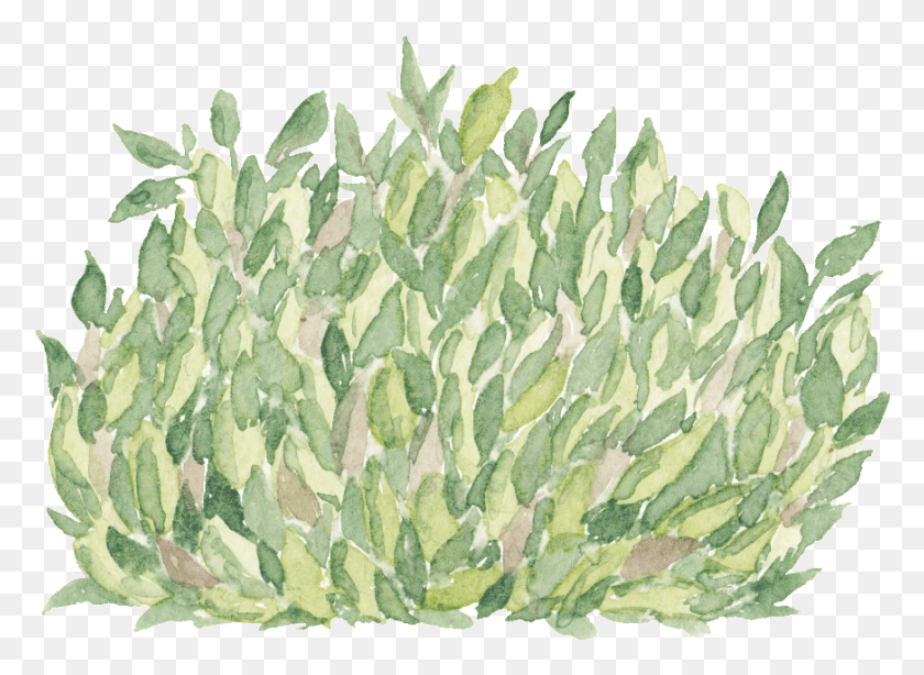 871x619 Hierba Verde Pintada A Mano De Dibujos Animados Transparente Decoración Agave, Planta, Roca Hd Png