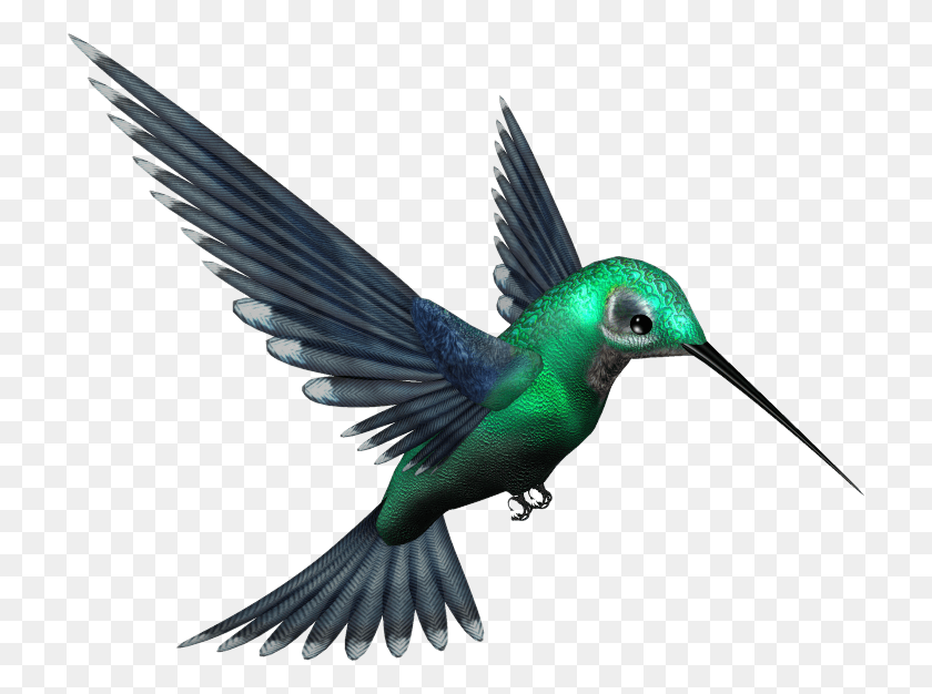 719x566 Colibrí Png / Pájaro Verde Hd Png