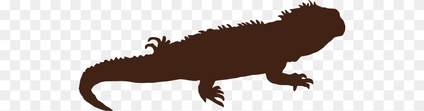 528x221 Green Iguana, Animal, Lizard, Reptile, Dinosaur Transparent PNG