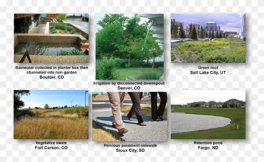 1567x920 Green Infrastructure In Cities Across The United States Tree, Collage, Poster, Advertisement HD PNG Download