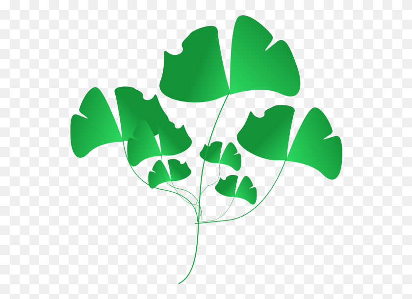 556x550 Зеленые Листья Картинки, Лист, Растение, Зеленый Hd Png Скачать