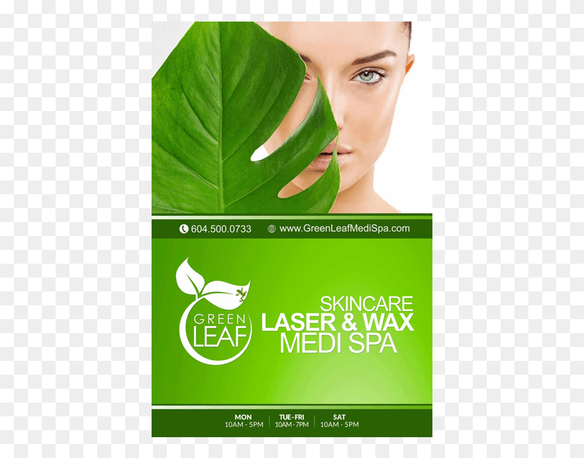 405x600 Green Leaf Medi Spa Street Poster Fish, Leaf, Plant, Person HD PNG Download