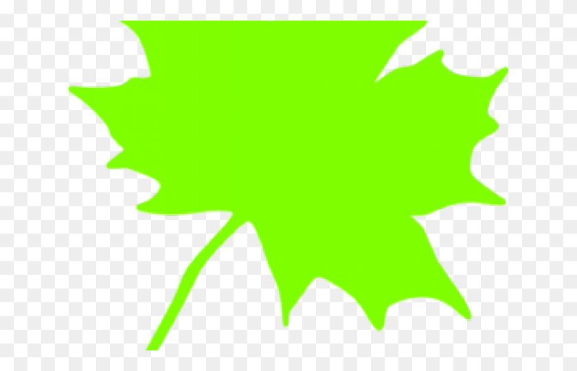 640x480 Green Leaves Clipart Cartoon Illustration, Leaf, Plant, Maple Leaf HD PNG Download