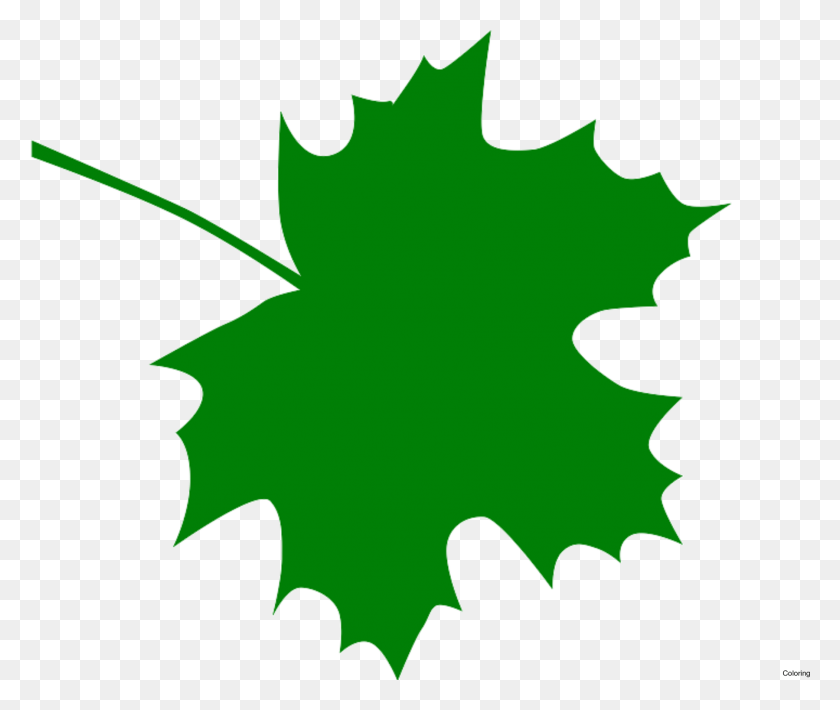 1799x1501 Green Leaves Clipart Clip Art Green Dark Green Maple Leaf, Leaf, Plant, Tree HD PNG Download