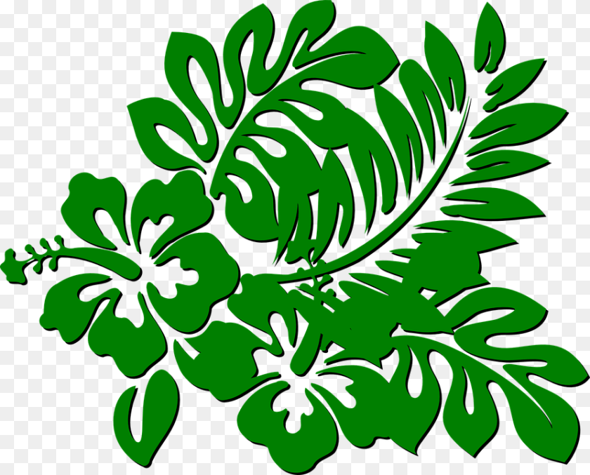 894x720 Green Leaves Clipart Forest Leaves, Art, Pattern, Herbs, Herbal Sticker PNG