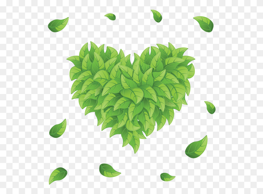 538x559 Green Leaves Heart Ai File Heart Leaves Vector, Land, Outdoors, Nature HD PNG Download