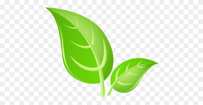 472x376 Зеленые Листья Изображения Лист Изображения, Растение, Цветок, Цветение Hd Png Скачать