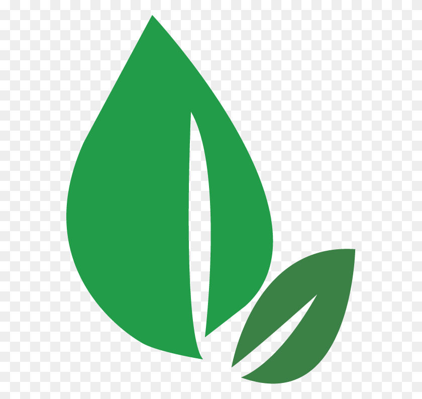 576x734 Green Leaves Logo Leaves, Symbol, Trademark, Number HD PNG Download