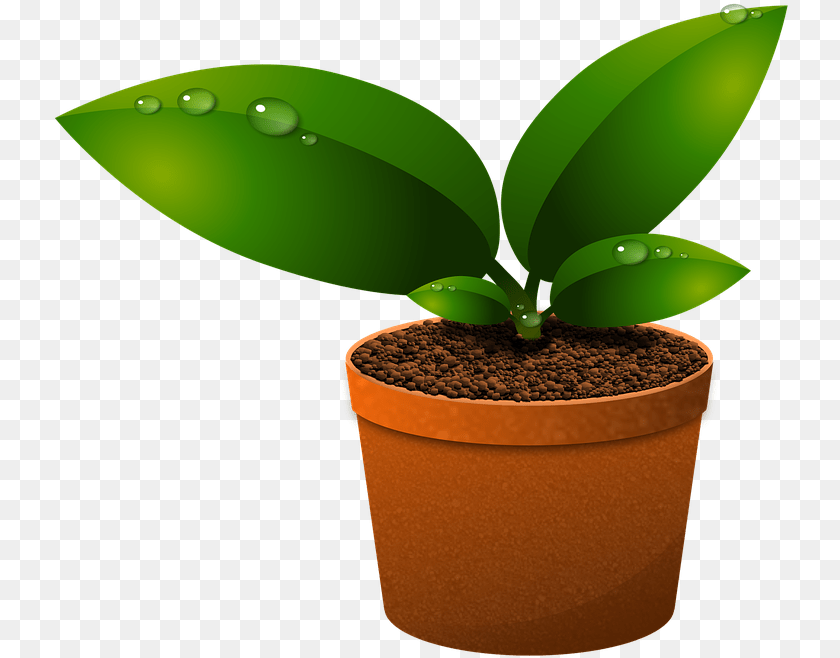 739x658 Green Leaves Plants Growth Foliage Vase Vegetation Components Of Ecosystem In Hindi, Leaf, Plant, Soil, Animal Clipart PNG