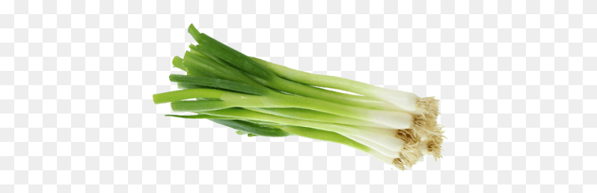 422x212 Green Onion Welsh Onion, Plant, Produce, Food HD PNG Download