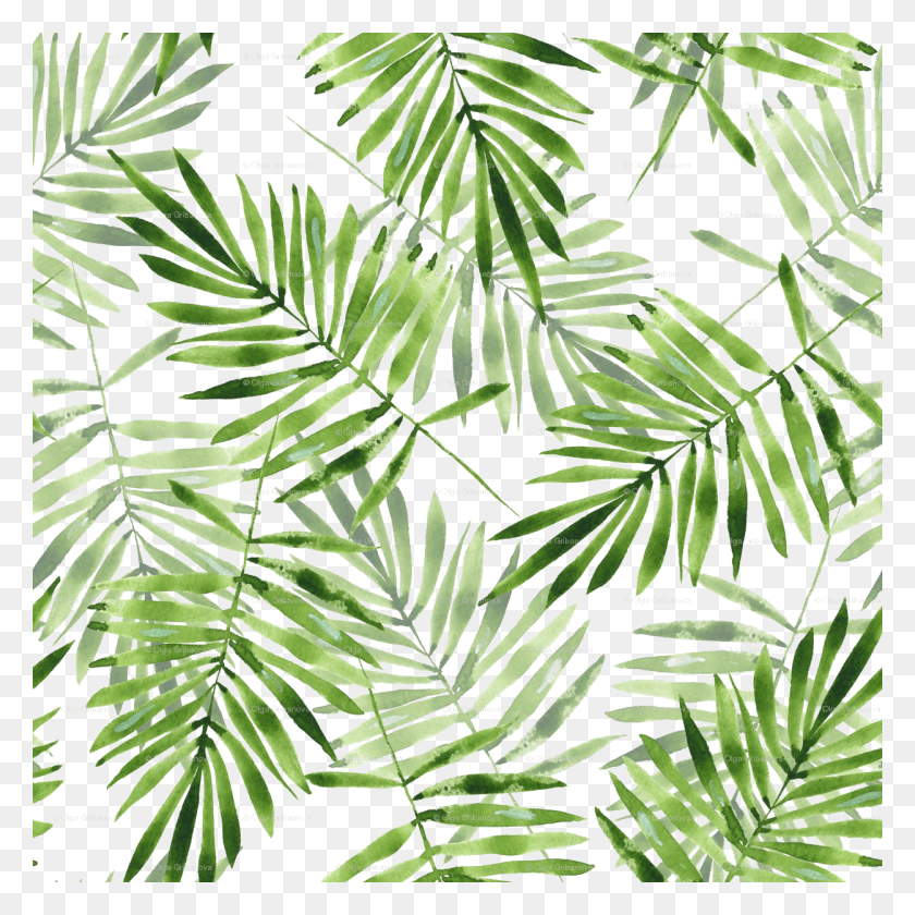 1250x1250 Зеленые Пальмовые Листья Прозрачный Пальмовый Лист Узор, Лист, Растение, Дерево Hd Png Скачать