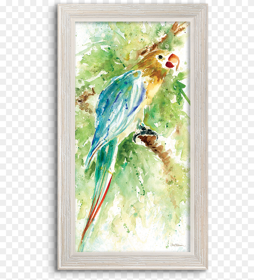 Green Parrot, Animal, Beak, Bird, Art PNG