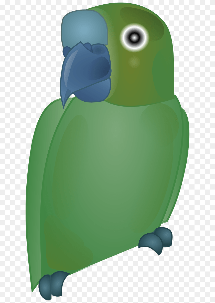 Green Parrot Animal, Bird, Parakeet, Nature Clipart PNG
