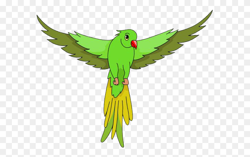 598x467 Green Parrot Flying Clipart, Parakeet, Bird, Animal HD PNG Download