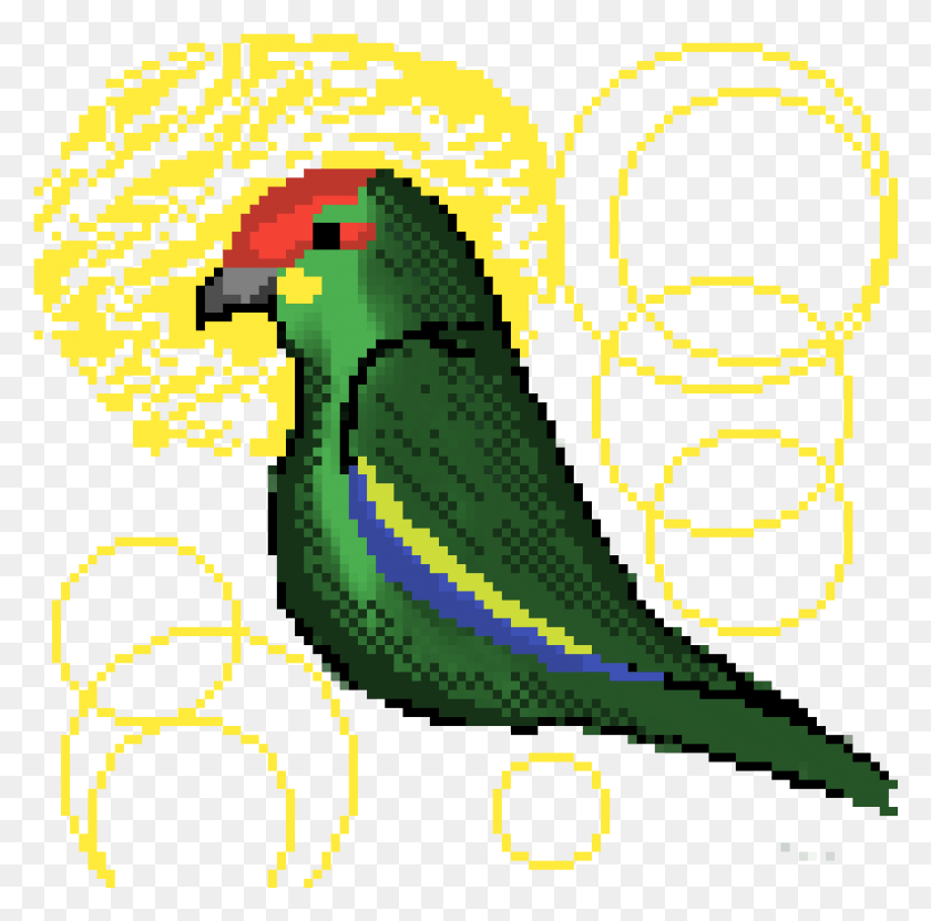 1153x1141 Green Parrot Parakeet, Animal, Bird, Poster HD PNG Download