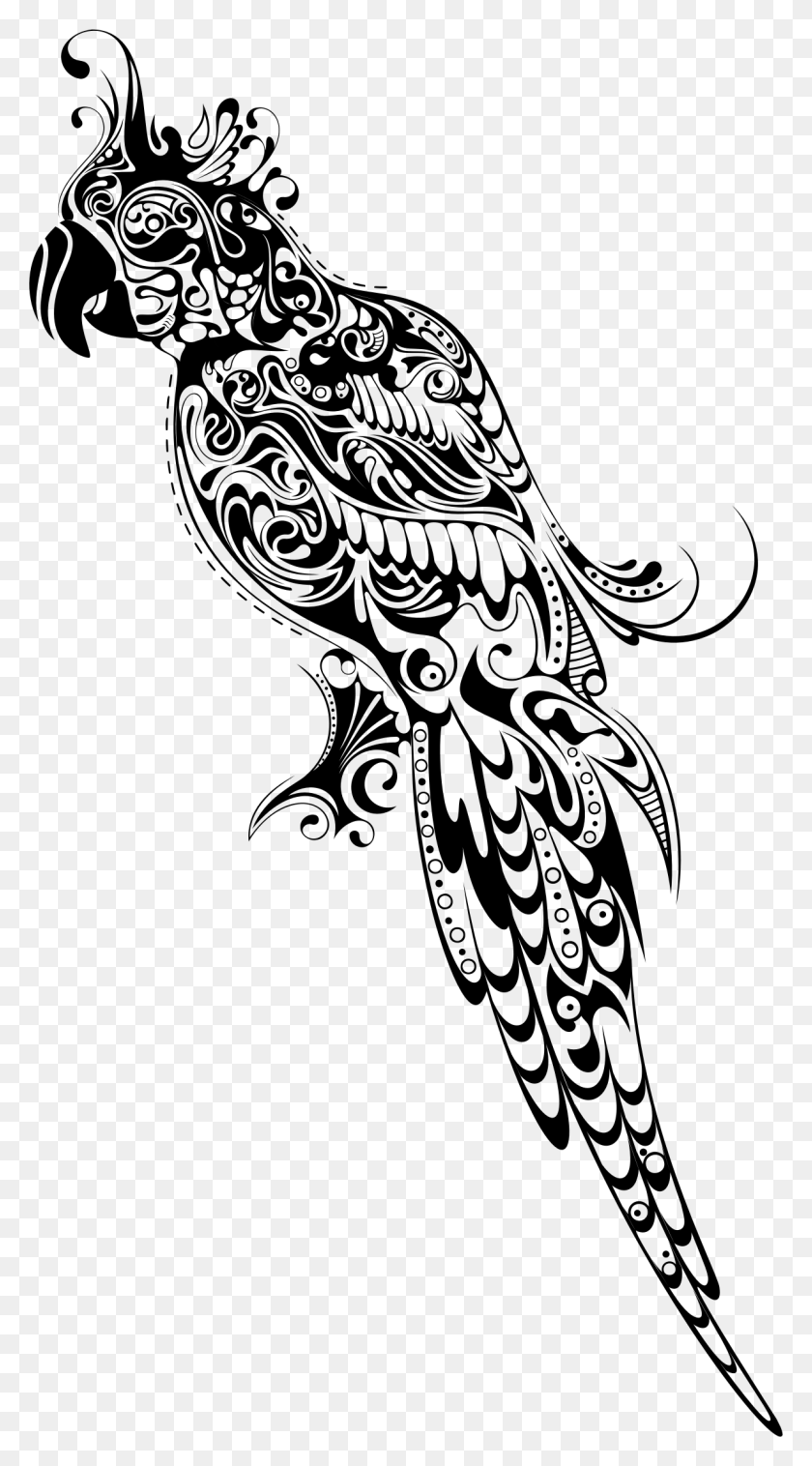 1206x2252 Green Parrot Picture Bird Drawing In Color, Gray, World Of Warcraft HD PNG Download