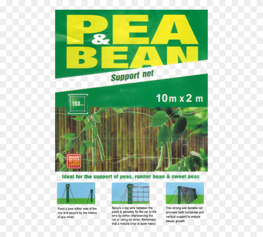 491x697 Green Pea, Plant, Text, Vegetation HD PNG Download
