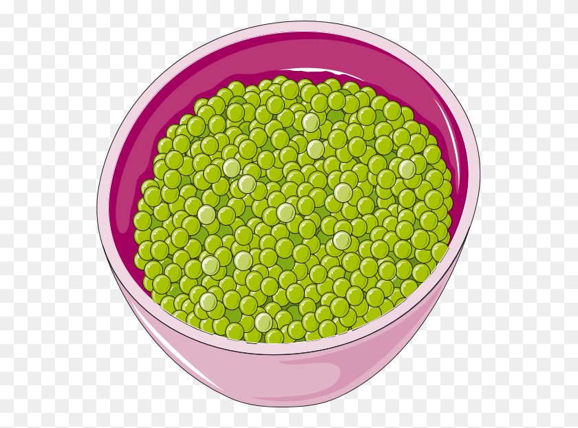 559x562 Green Peas Clip Art, Plant, Pea, Vegetable HD PNG Download