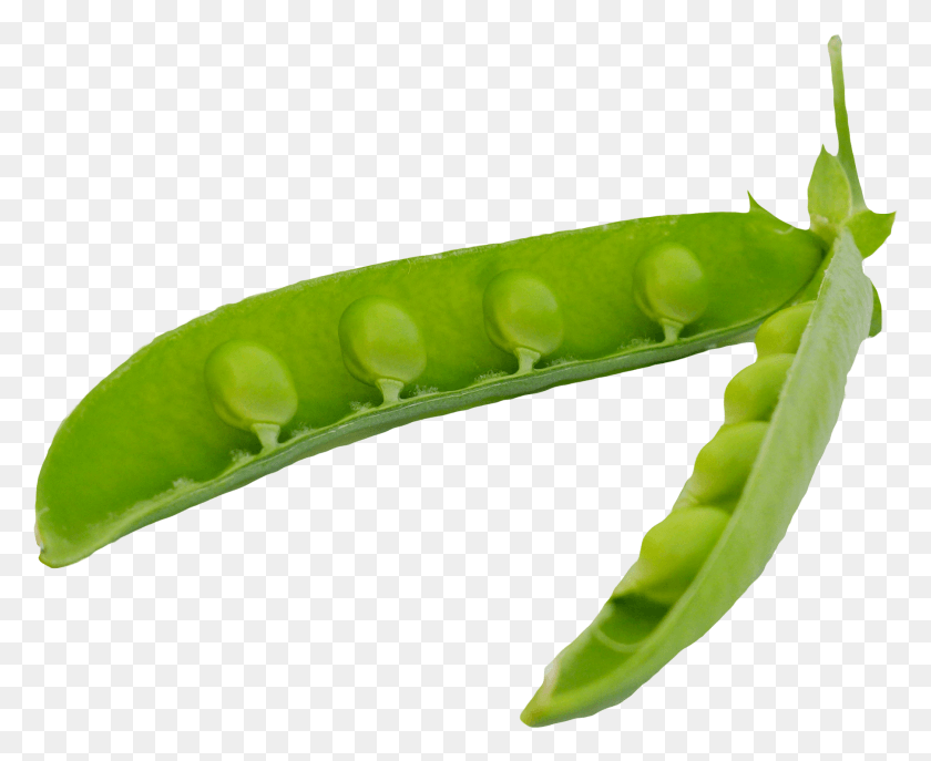 1806x1454 Зеленый Горошек Стручки Горох В Стручках, Растение, Овощи, Еда Hd Png Скачать