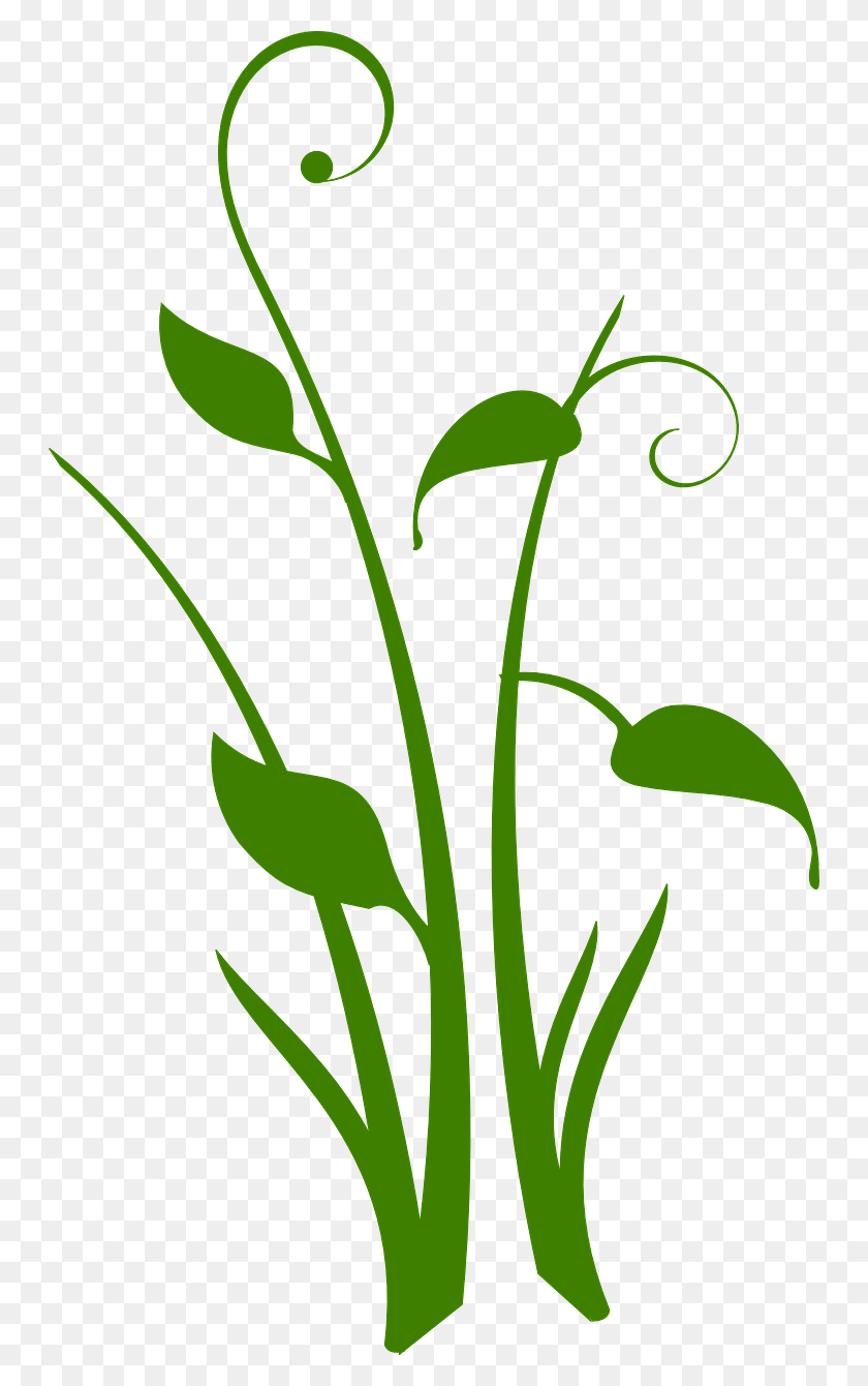 746x1280 Зеленое Растение Цветочный Дизайн Вихревое Изображение Дизайн Растений, Горшечное Растение, Ваза, Банка Hd Png Скачать