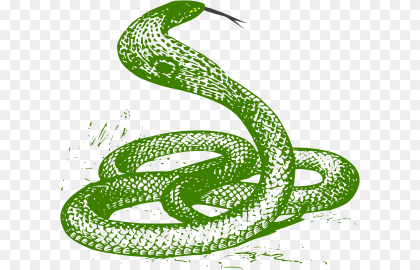 600x540 Green Snake, Animal, Reptile, Green Snake Transparent PNG
