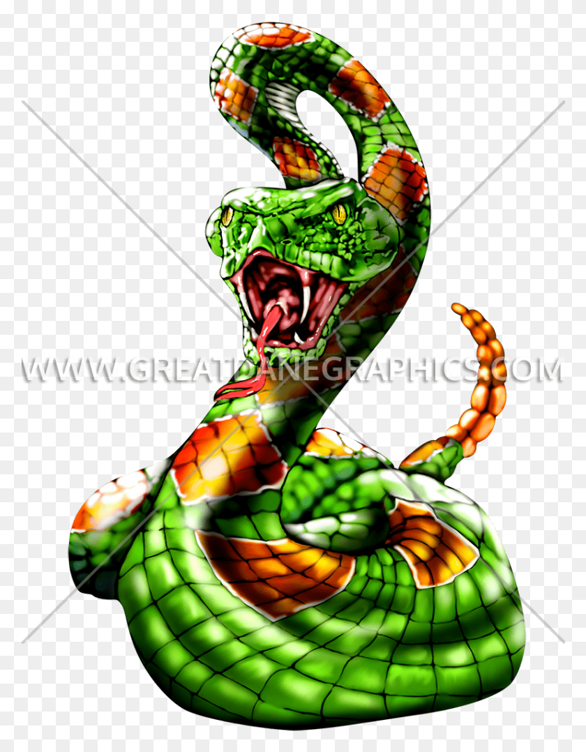 826x1079 Зеленая Змея Сонора Коралловая Змея, Рептилия, Животное, Ананас Hd Png Скачать