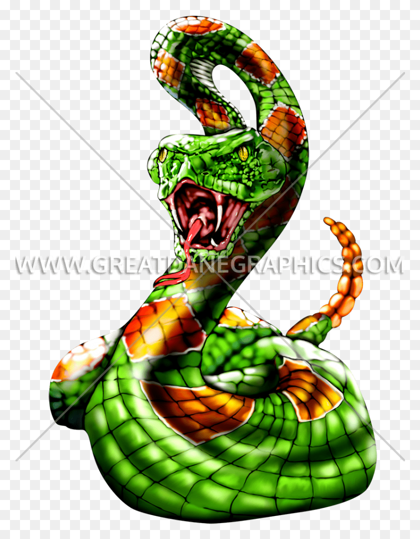 826x1079 Sonora Serpiente Verde Serpiente Coral, Reptil, Animal, Piña Hd Png Descargar