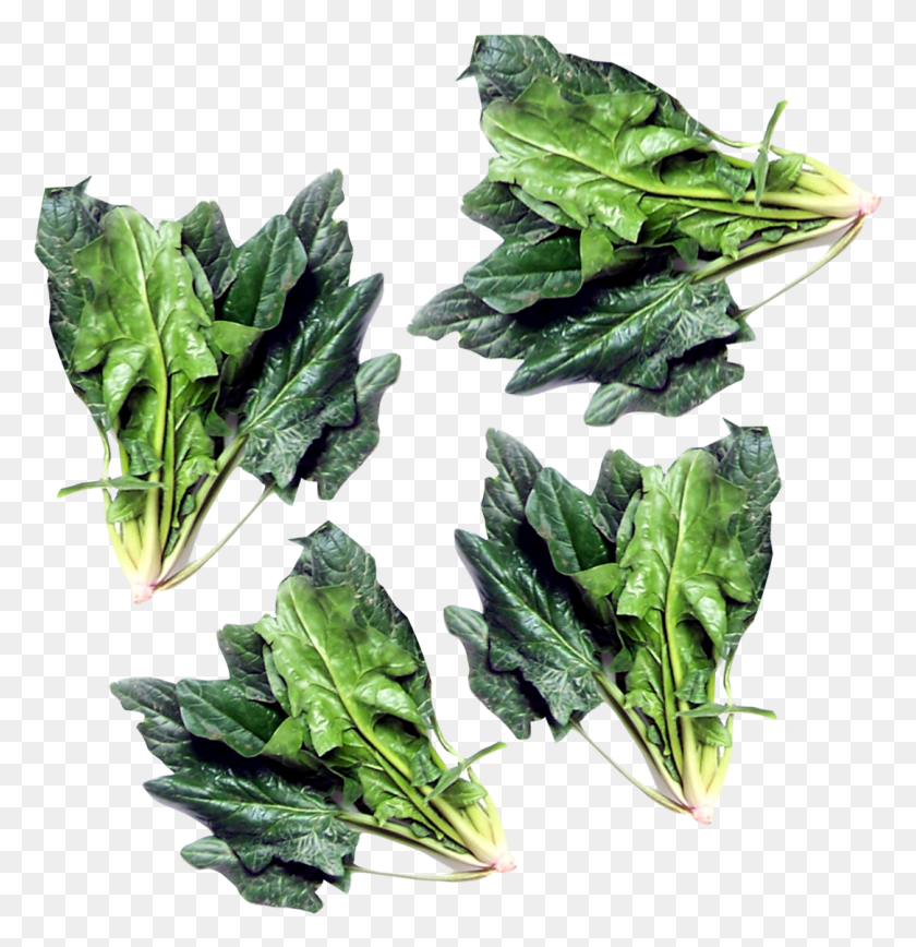 1084x1123 Green Spinach Image Spinach, Plant, Vegetable, Food HD PNG Download