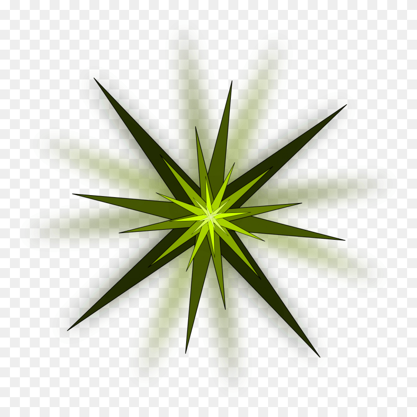 1517x1517 Зеленая Звезда Клипарт, Растение, Узор, Фрактал Hd Png Скачать