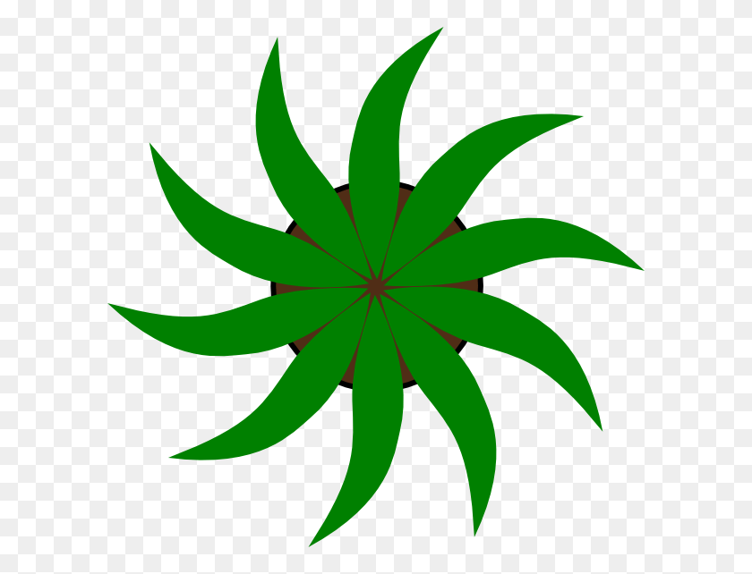 600x582 Green Star Shape Clip Art Clip Art, Plant, Symbol, Logo HD PNG Download