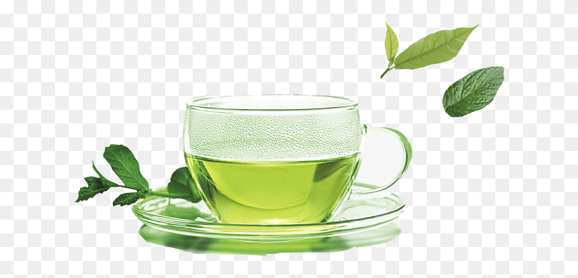 626x345 Зеленый Чай Бесплатное Изображение Чай Psd, Блюдце, Керамика, Растение Hd Png Скачать