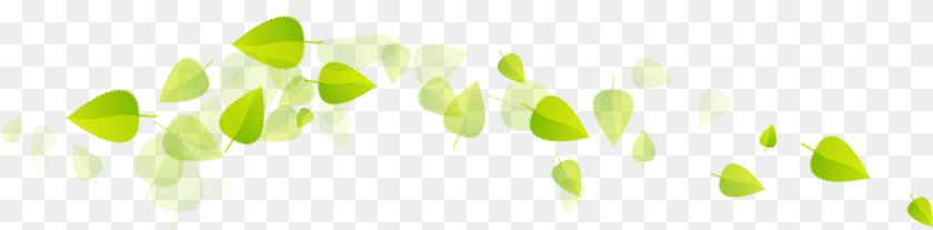 Green Tea Leaves Floating Leave Leaf, Plant Transparent PNG