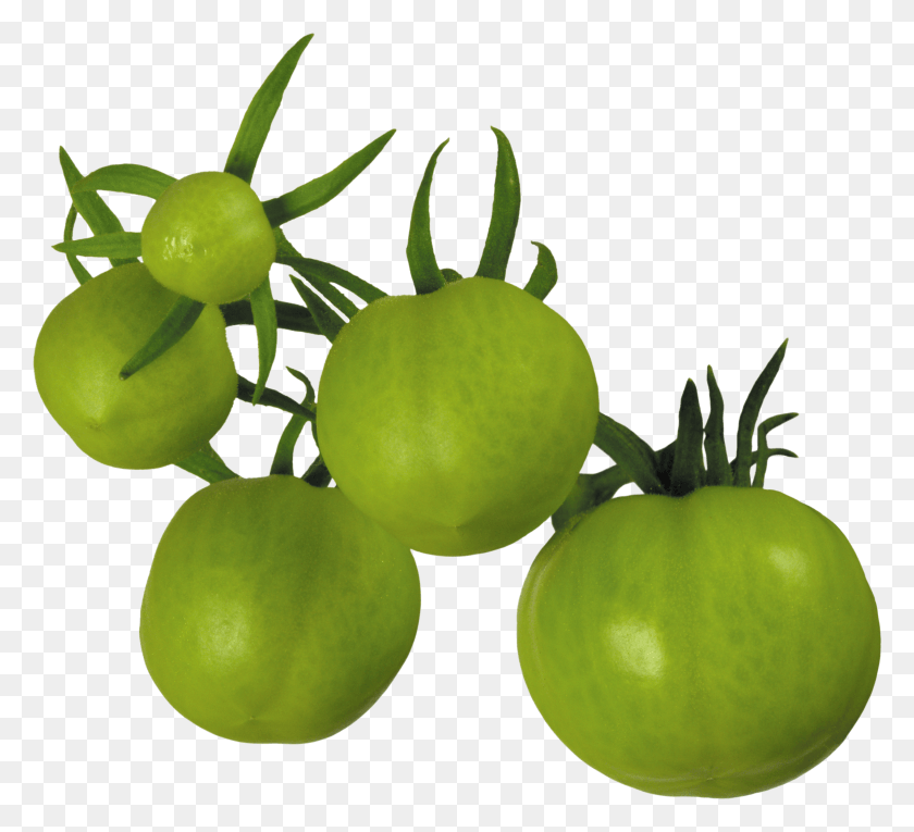 2921x2643 Green Tomato HD PNG Download