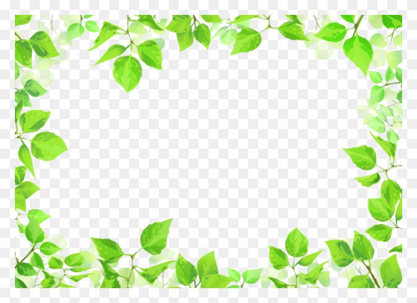 1191x842 Green Transparent Leaf Corner Border, Plant, Flower, Blossom HD PNG Download