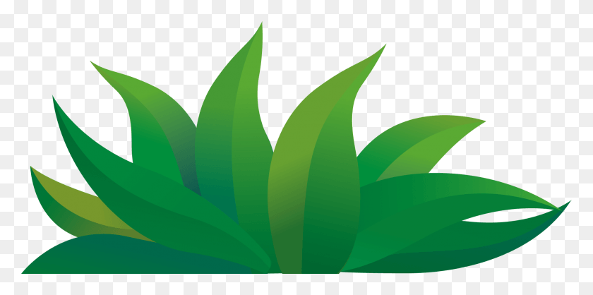 2001x920 Hierba Verde Transprent Cartoon Clipart, Planta, Hoja, Símbolo Hd Png