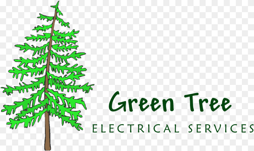 Green Tree Electrical Services Grief Work Journal With Journaling Tools, Pine, Plant, Fir, Conifer Clipart PNG