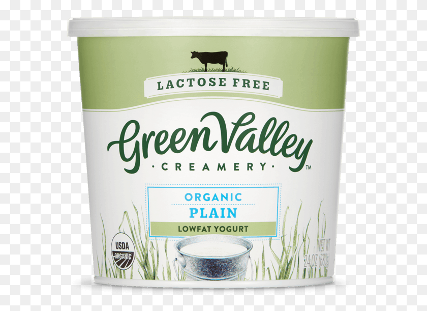 579x551 Green Valley Organics, Plant, Food, Yogurt HD PNG Download