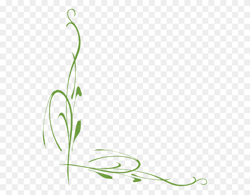 552x596 Green Vine Border, Plant, Floral Design, Pattern HD PNG Download