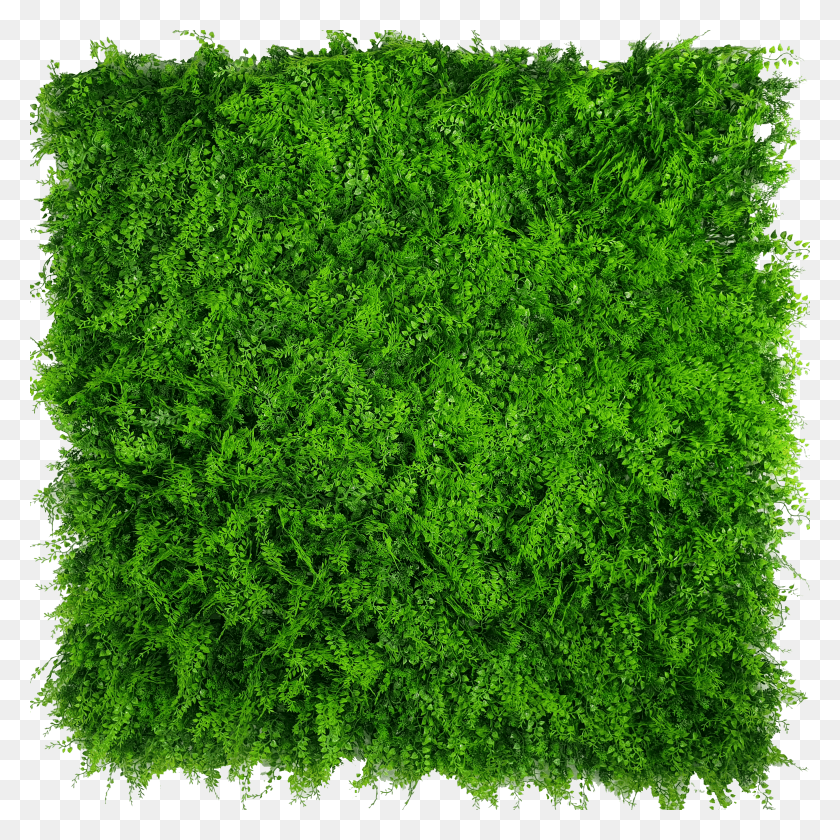 2703x2703 Green Wall Artificial Vertical Garden Wall HD PNG Download