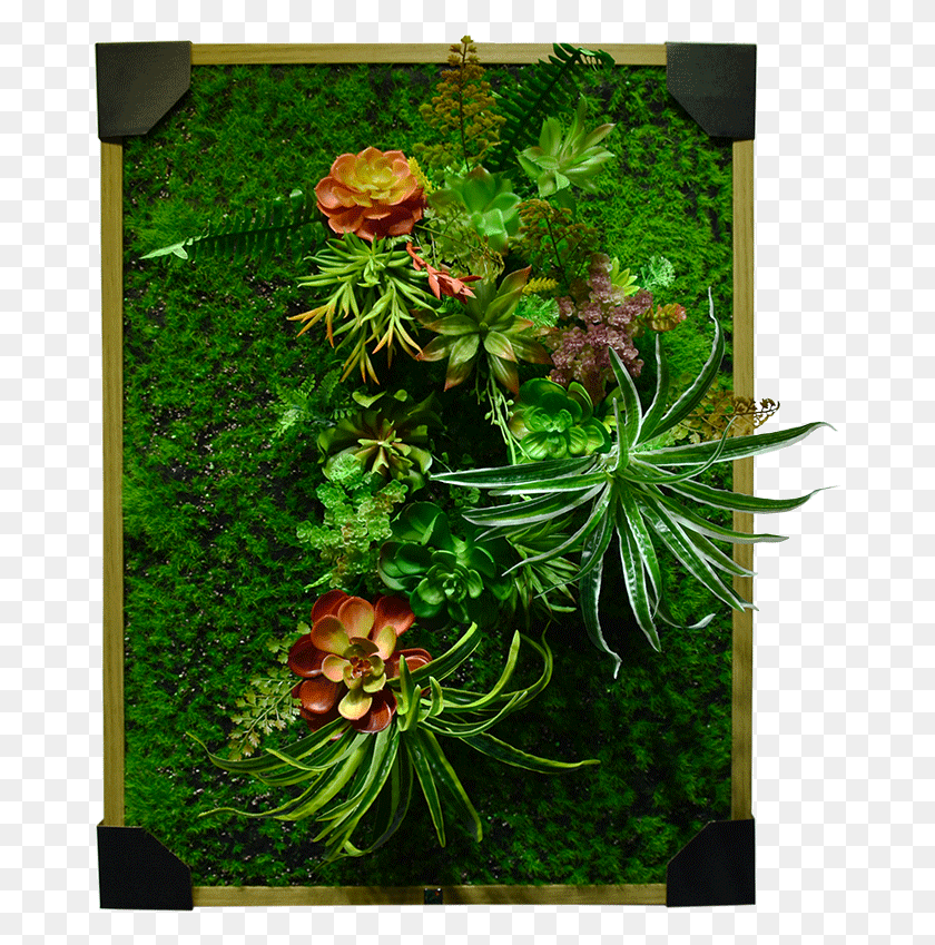 673x789 Green Wall Decoration With Frame Design Eolb13s001 Christmas Ornament, Plant, Vase, Jar HD PNG Download