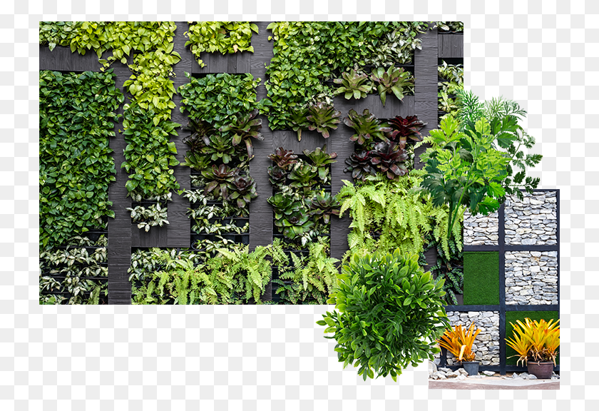 730x516 Зеленая Стена Вертикальная Стена Сад, Растение, Горшечное Растение, Ваза Hd Png Скачать