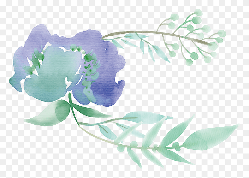 3808x2653 Зеленая Акварельная Живопись Цветок Mentha Spicata Мятно-Зеленые Акварельные Цветы, Растение, Цветение, Графика Hd Png Скачать
