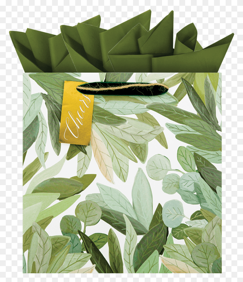 818x960 Зеленая Подарочная Сумка С Изображением Усилителя, Лист, Растение Hd Png Скачать