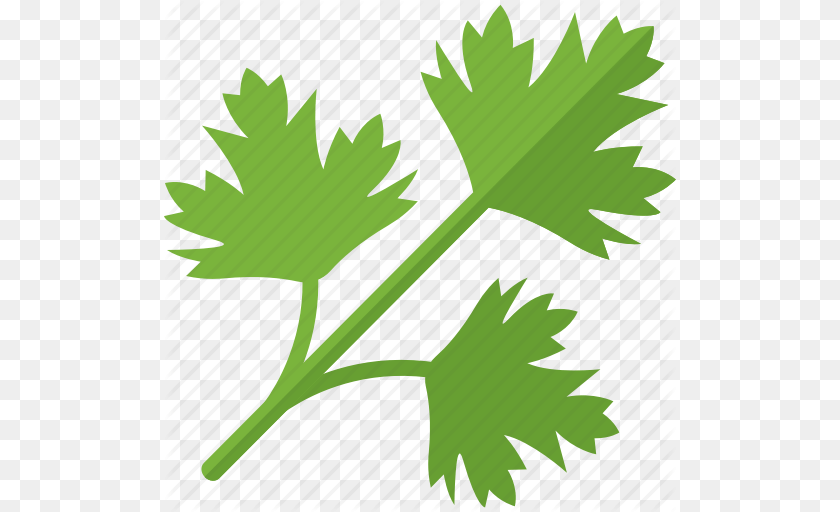 Greenery Plant Sheet Stalk Icon, Herbs, Leaf, Parsley Clipart PNG