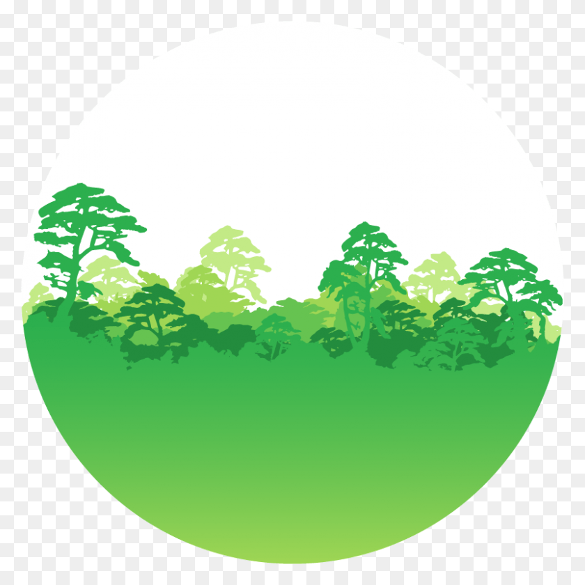 801x801 Greenpeace Usa Logo Universidad De Ciencias Aplicadas Bosque Negro, Verde, Vegetación, Planta Hd Png