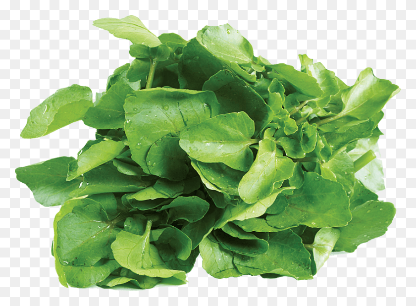 851x609 Greens Water Spinach Watercress, Plant, Vegetable, Food Descargar Hd Png