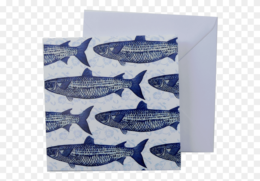 569x526 Greeting Card And Envelope Blue And White Fish Print Whale Shark, Animal, Carp HD PNG Download