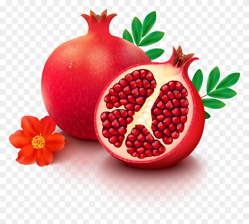 2100x1874 Granada Dibujo De Granada Fruta, Planta, Producir, Alimentos Hd Png