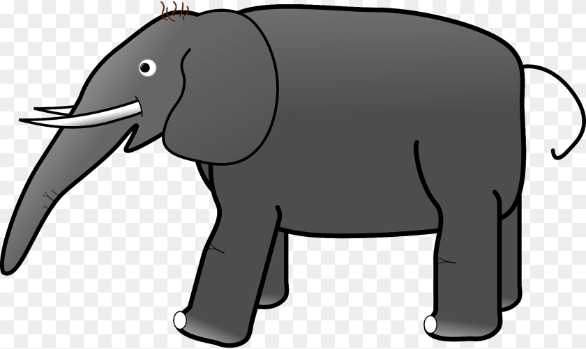 1920x1146 Grey Elephant Animal, Mammal, Wildlife, Kangaroo Clipart PNG