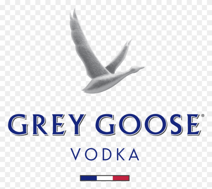 863x761 Grey Goose Grey Goose Vodka Logo, Animal, Bird, Person HD PNG Download